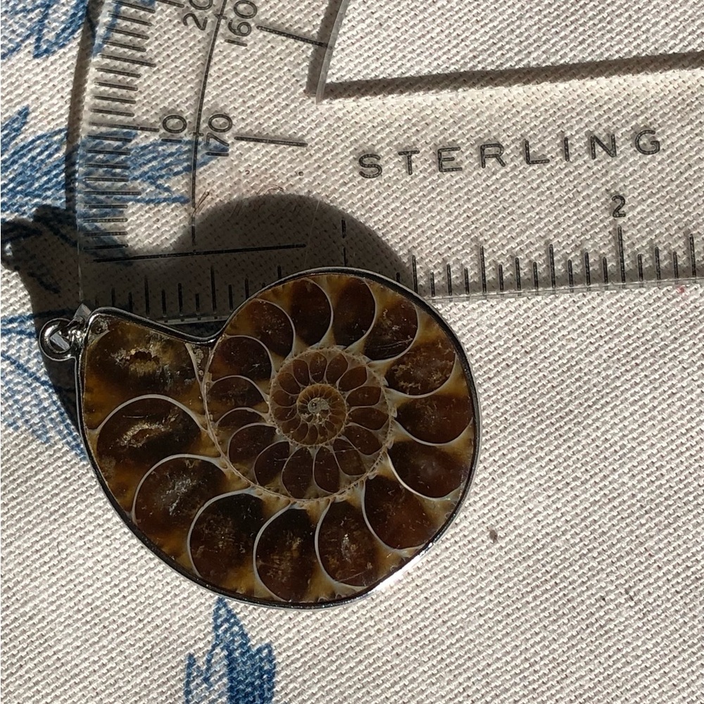 Ammonite Pendant - Picture 4 of 4